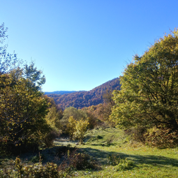 Landscapes of Dilijan